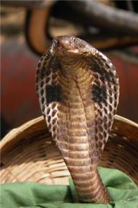 Say Hello to the Cobra Journal: 150 Page Lined Notebook/Diary