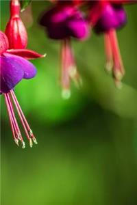 Fuchsias Notebook