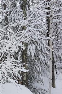 2019 Weekly Planner Winter Beautiful Forest 134 Pages