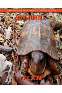 Box Turtle! Learn about Box Turtle and Enjoy Colorful Pictures