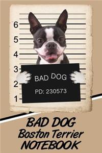 Bad Dog Boston Terrier Notebook