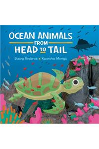 Ocean Animals from Head to Tail