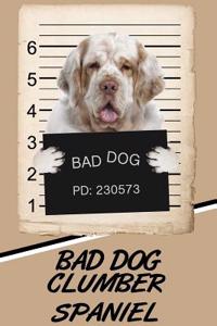 Bad Dog Clumber Spaniel