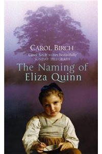 The Naming Of Eliza Quinn