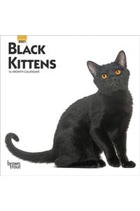Black Kittens 2021 Mini 7x7