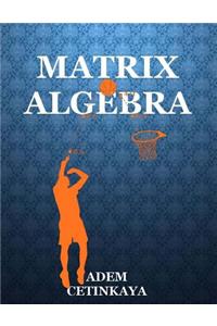 Matrix Algebra