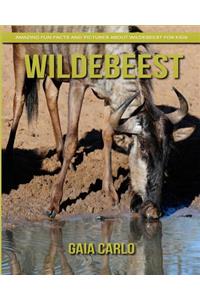 Wildebeest