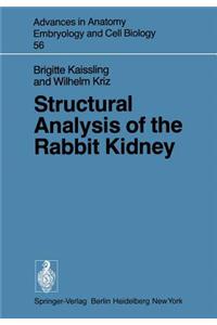 Structural Analysis of the Rabbit Kidney