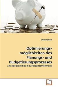 Optimierungs- möglichkeiten des Planungs- und Budgetierungsprozesses