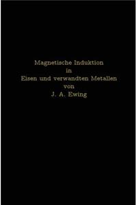 Magnetische Induktion in Eisen Und Verwandten Metallen