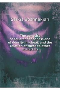 The genetics of squareheadedness and of density in wheat, and the relation of these to other characters