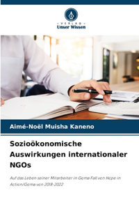 Sozioökonomische Auswirkungen internationaler NGOs