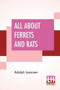 All About Ferrets And Rats