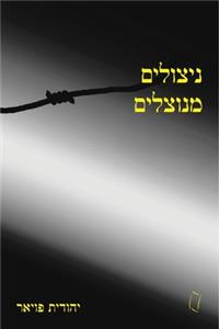 Exploited Survivors (Hebrew)