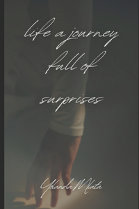 Life A Journey Full Of Surprises
