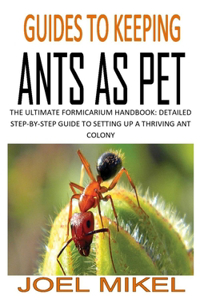 Guides to Keeping Ants as Pet
