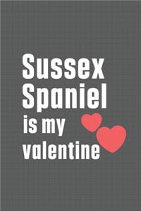Sussex Spaniel is my valentine