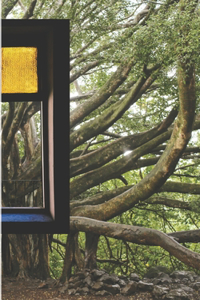 A window for a home without walls