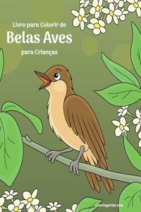 Livro para Colorir de Belas Aves para Crianças