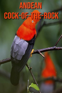 Andean Cock-of-The-Rock: Beautiful Pictures & Interesting Facts Children Book About Andean Cock-of-The-Rock