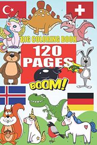 Big Coloring Book