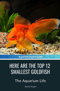 Here Are The Top 12 Smallest Goldfish