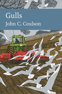 Gulls: Book 139 (Collins New Naturalist Library)