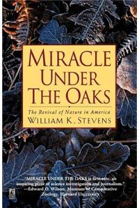 Miracle Under the Oaks