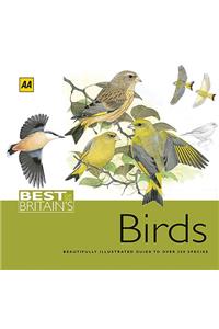 AA Best of Britain's Birds