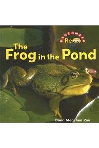 Frog in the Pond