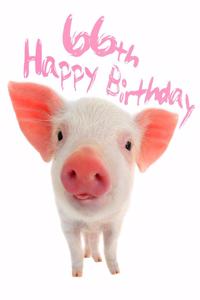 Happy 66th Birthday