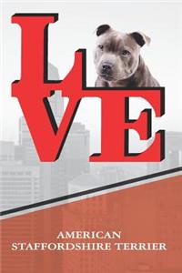American Staffordshire Terrier