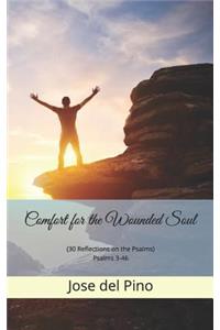 Comfort for the Wounded Soul