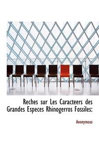 Reches Sur Les Caracteers Des Grandes Especes Rhinogerros Fossiles