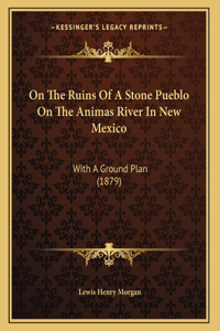 On The Ruins Of A Stone Pueblo On The Animas River In New Mexico