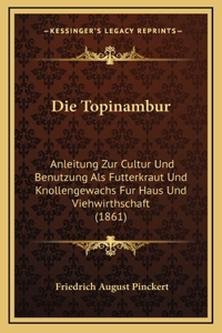 Die Topinambur