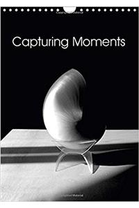 Capturing Moments 2017