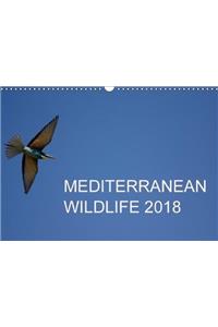 Mediterranean Wildlife 2018 2018