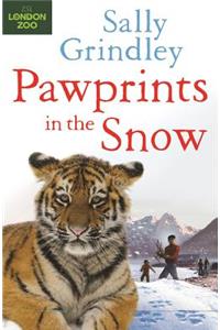 Paw Prints in the Snow