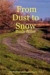 From Dust to Snow