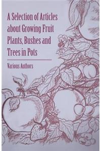 Selection of Articles about Growing Fruit Plants, Bushes and Trees in Pots