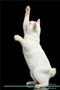 Mekong Bobtail Affirmations Workbook Mekong Bobtail Presents