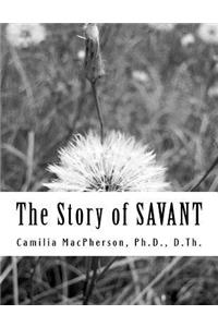 Story of SAVANT