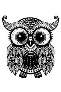 Take A Journey Owl