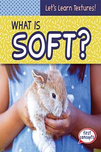 What Is Soft?