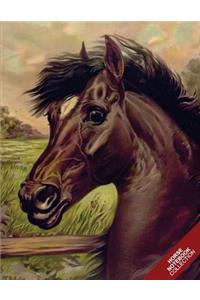 Horse Notebook Collection