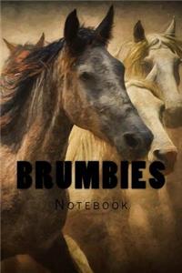 Brumbies