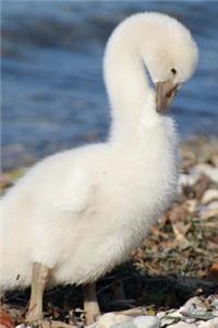 So Sweet and Fluffy Young Swan Journal