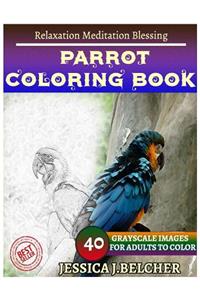 Parrot Coloring Book for Adults Relaxation Meditation Blessing