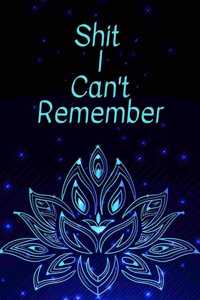 Shit I Can't Remember